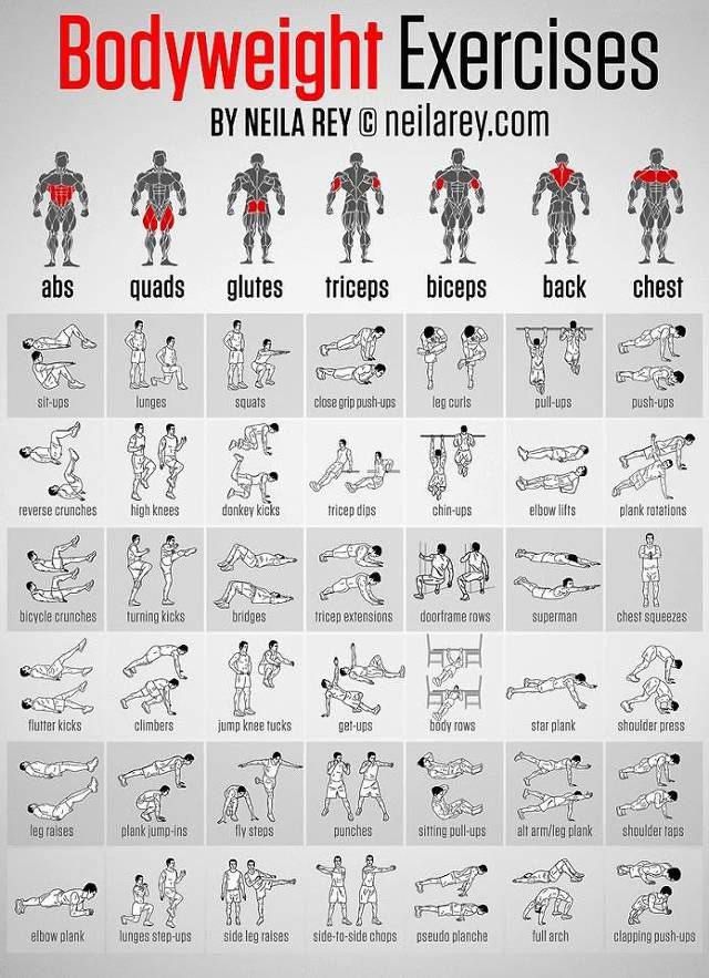 근육 부위별 맨몸운동으로 키우는 방법 각각 6가지 종류 | Bodyweight Workout, Gym Workout Tips,  Weights Workout
