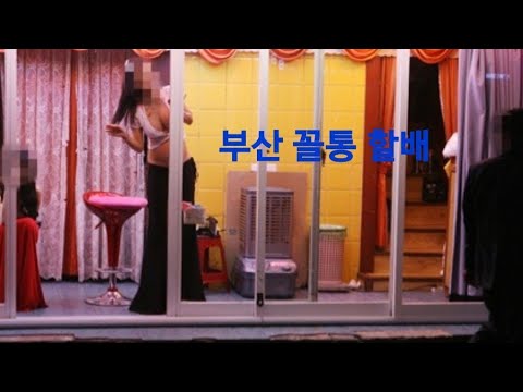 부산 미남 ㆍ 사창가 탐방 - Youtube