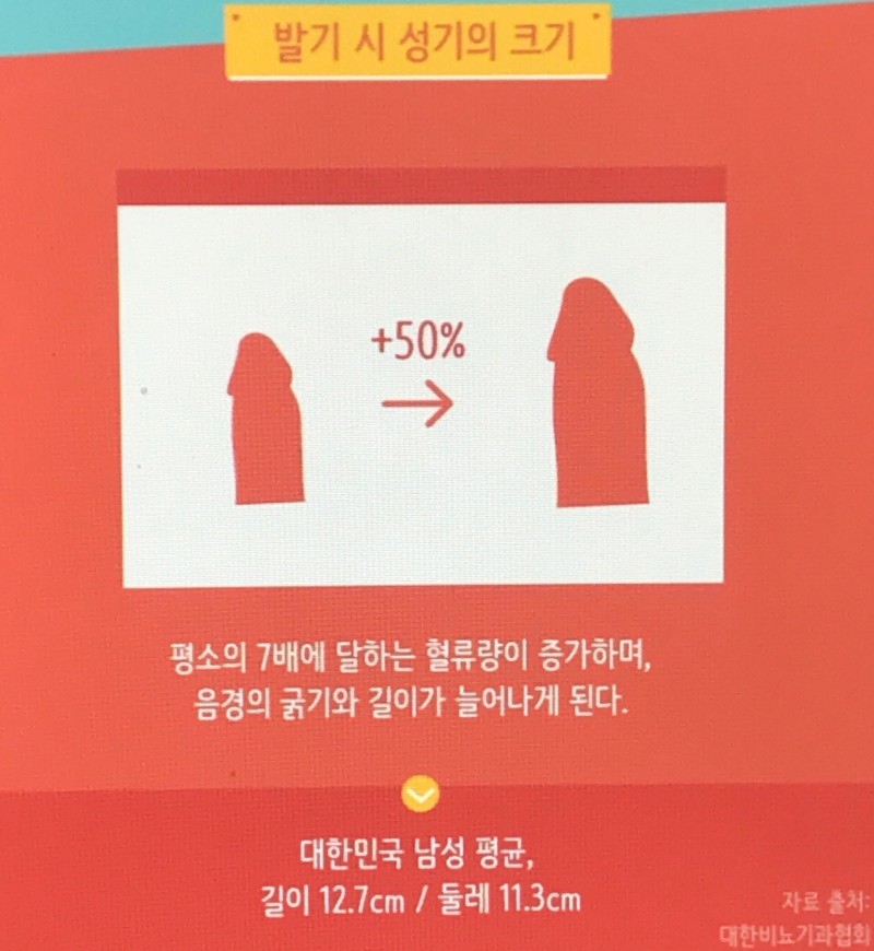 한국남자 평균 크기 및재는법 : 네이버 블로그