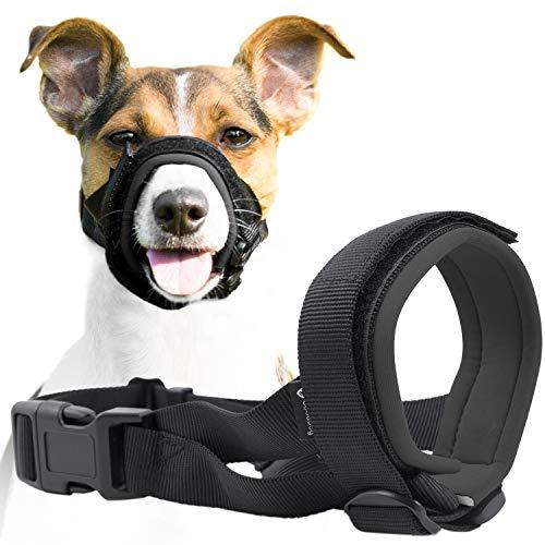 Dog Muzzles: When, Why, And How To Correctly Use Them – American Kennel Club