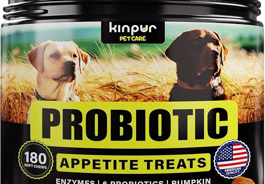 Amazon.Com : Probiotics For Dogs - Support Gut Health, Itchy Skin,  Allergies, Yeast Balance, Immunity - Dog Probiotics And Digestive Enzymes  For Small, Medium And Large Dogs - 180 Probiotic Chews For
