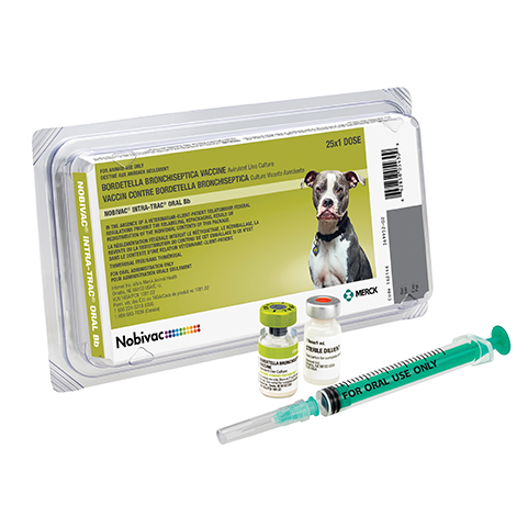 Nobivac® Intra-Trac® Oral Bb | Merck Animal Health Usa