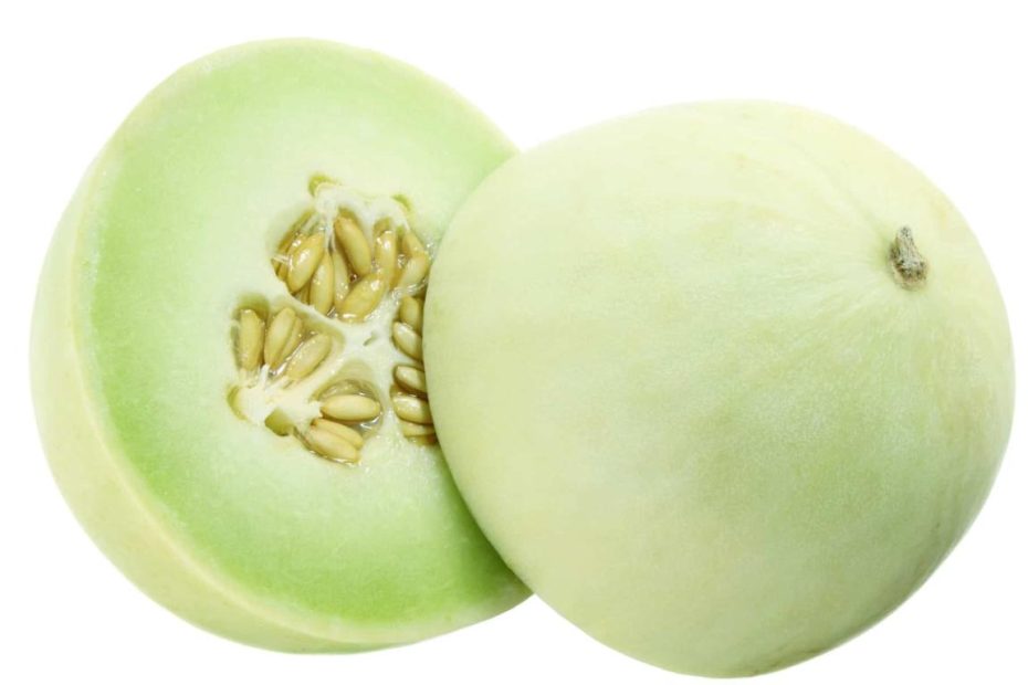 Can Your Dog Eat Honeydew Melon? What About The Rind? - Az Animals