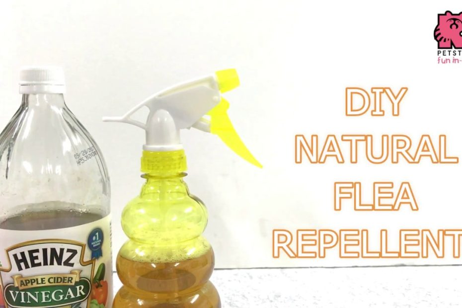 Diy Flea Repellent (With Apple Cider Vinegar) - Youtube