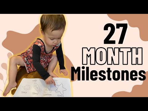 27 MONTH DEVELOPMENTAL MILESTONES + ACTIVITIES | What your 27 Month Old Toddler Can Do!