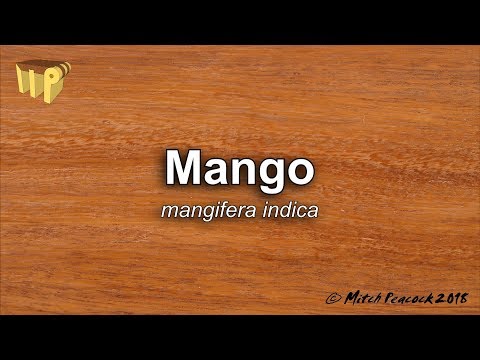 Mango (mangifera indica) - Mitch's World of Woods